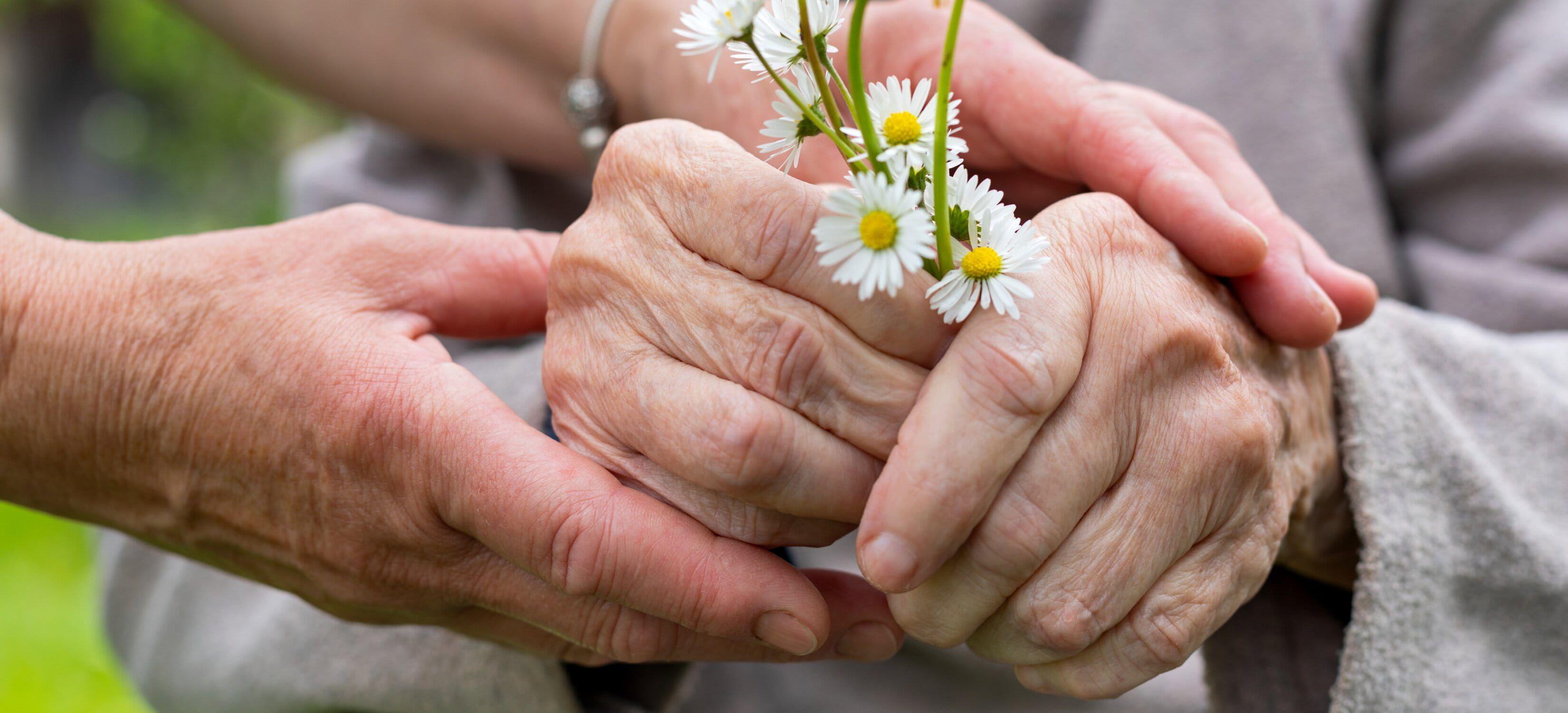 A elderly couple holding a pair of flowers